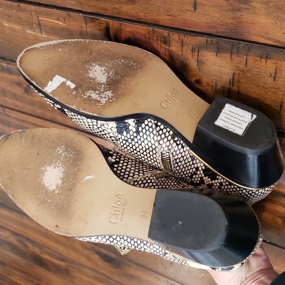 Chloe Snakeskin Ankle Boots with Gold Buckles - Picture 10 of 16